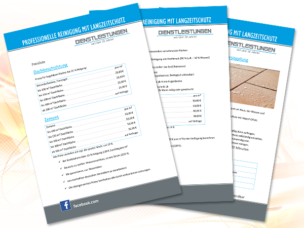Einfache Informationsflyer und Preislisten im Basis-Design ab 50 € gestaltet